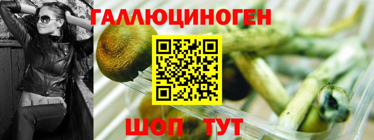 Галлюциногенные грибы ЛСД  Вход с VPN  Дербент 